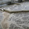 7 Biologisches_Becken