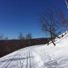 Wintersport_15